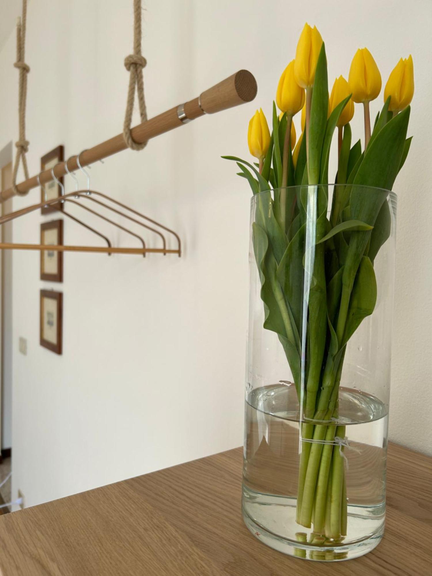 Villa Agricolae Agriturismo Marina  外观 照片